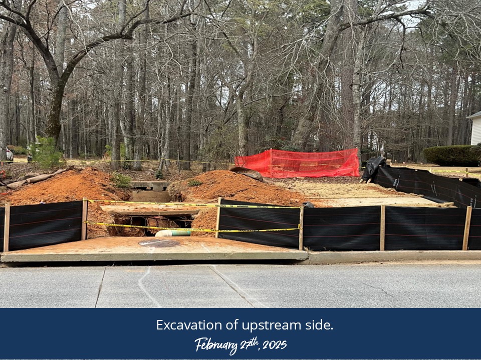 20250227-20sae-old-ivy